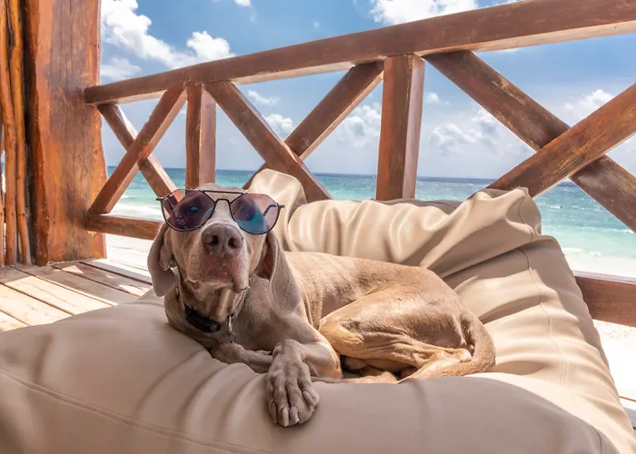 Hotelito Azul