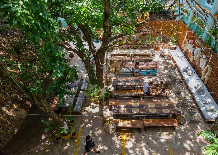 Selina Playa Del Carmen