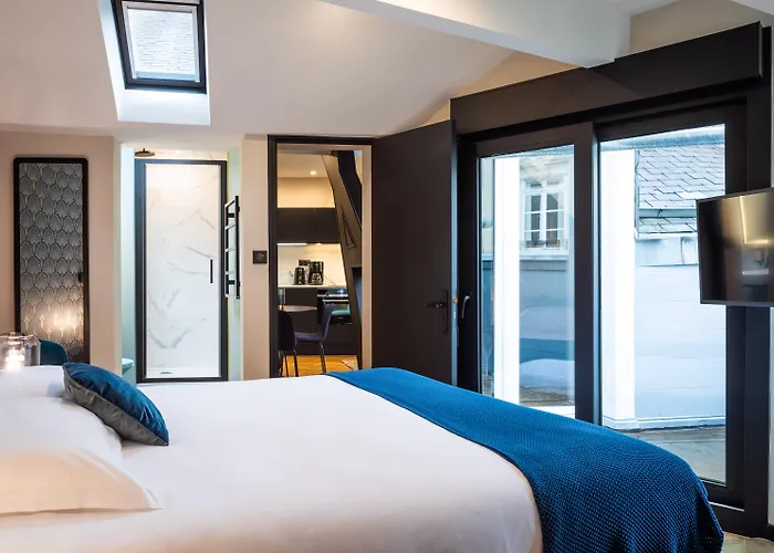 Pet Friendly hotel: Le Nemours Rennes
