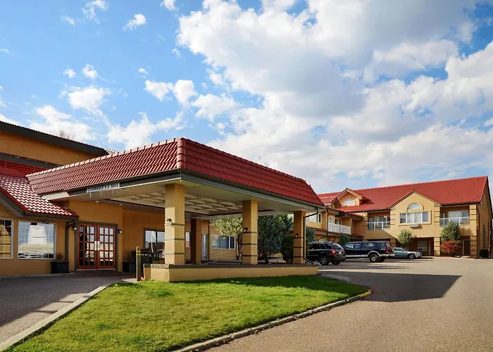 Pet Friendly hotel: Flamingo Hotel