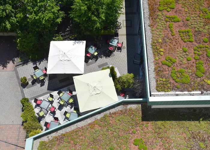 Hotel sulla spiaggia: Hotel Vitalis By Amedia