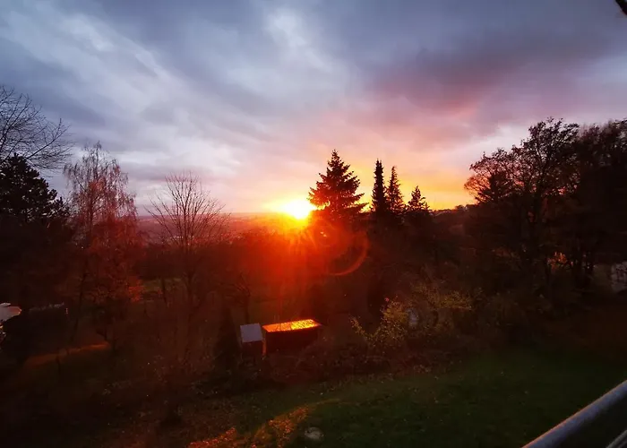 Hotel mit Hund Habitat Esslingen