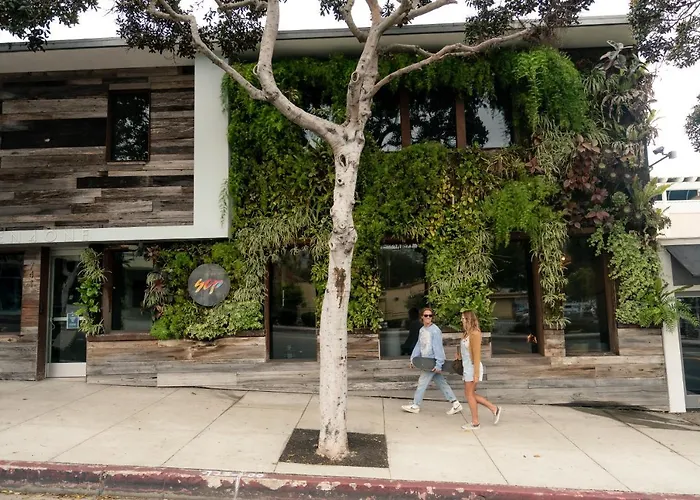 Pet Friendly hotel: Scp Seven4One Hotel