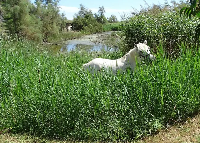 Animaux admis De La Fadaise