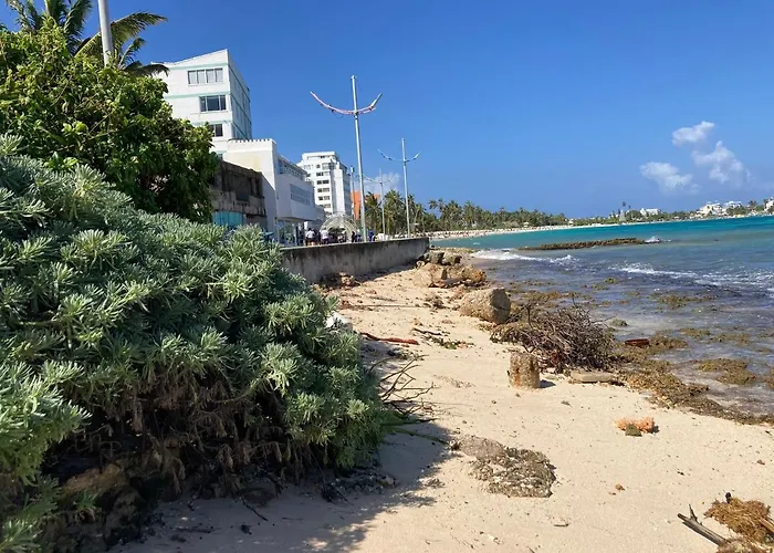 Apartamento De Playa 601