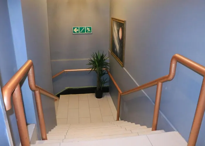 Pet Friendly hotel: Rio Guest House