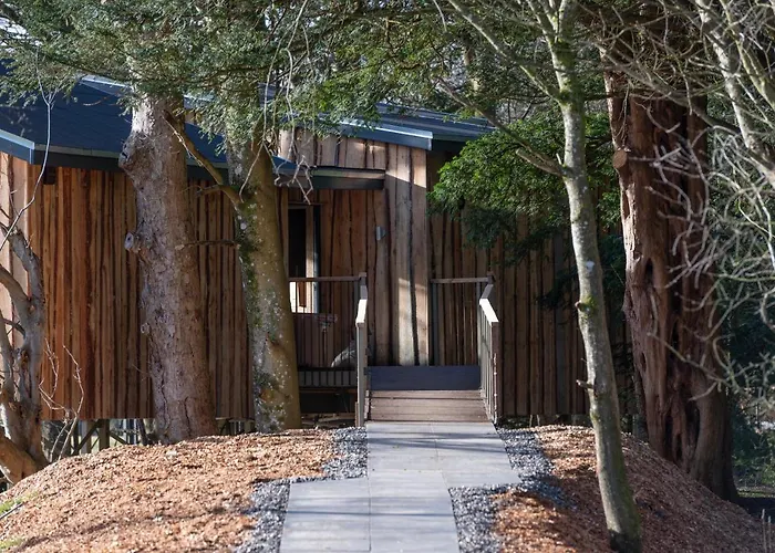 Dog friendly hotels Chiffchaff Treehouse