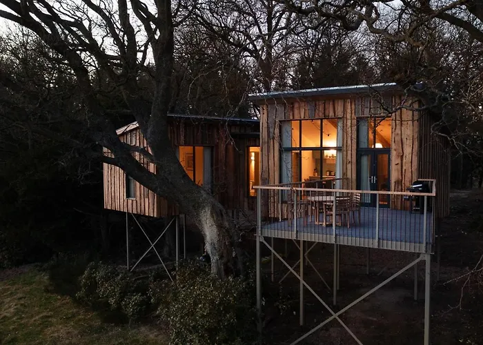 Dog friendly hotels Chiffchaff Treehouse