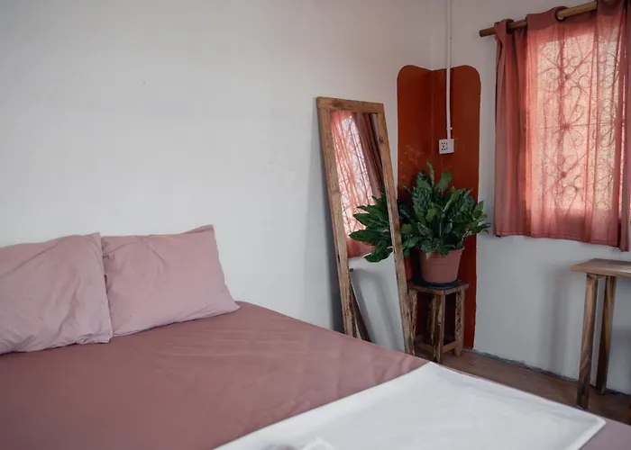 Sacred Lotus - Vegan Café X Hostel