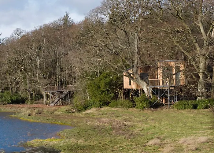 Dog friendly hotels Chiffchaff Treehouse