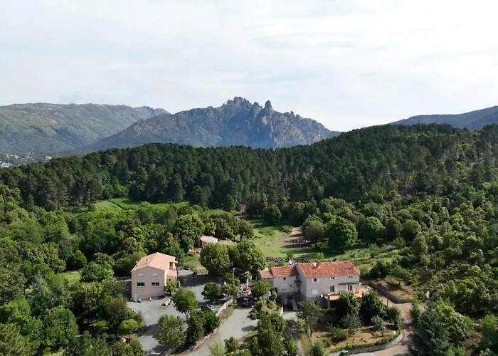 Animaux admis Les Hauts De Cavanello