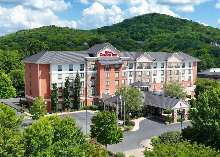 Pet Friendly hotel: Hilton Garden Inn Nashville/Franklin-Cool Springs