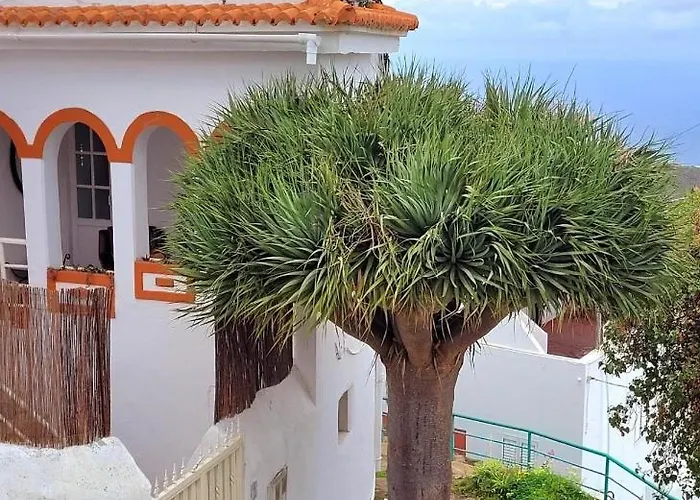 Acoran Family Ocean View Guest House With Daily Yoga Practice Included North Gran Canaria Private Room Pet Friendly