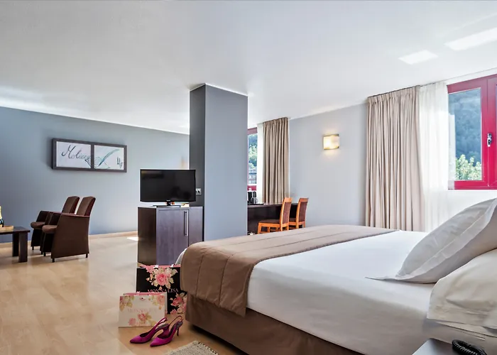Acta Arthotel