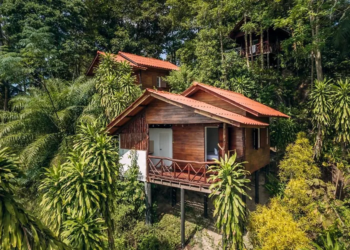 Source Yoga And Nature Retreat Koh Phangan
