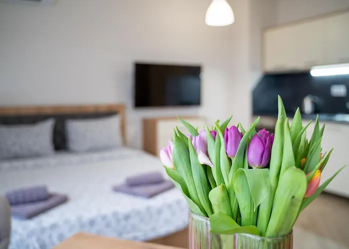 Resort: Wow Studios For Rent - Bul Montevideo 25A - B