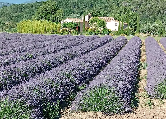  D'hôtes Du Mas De Longuefeuille