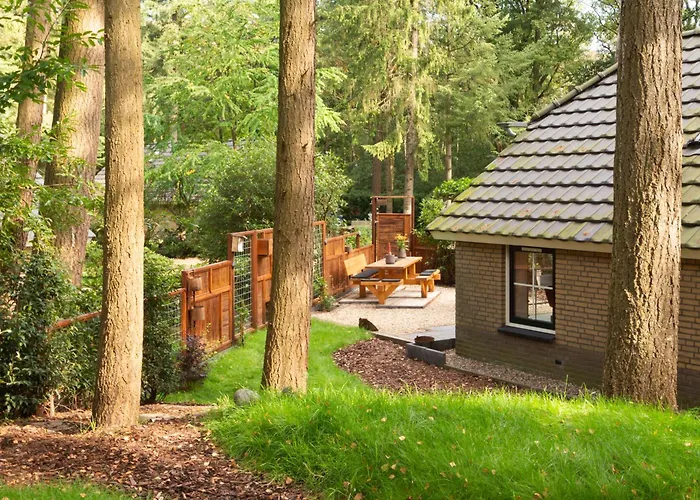 Veluwe - Bosuil