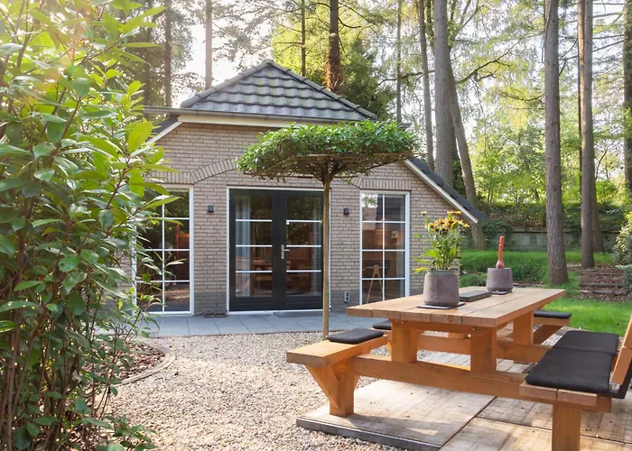 Veluwe - Bosuil