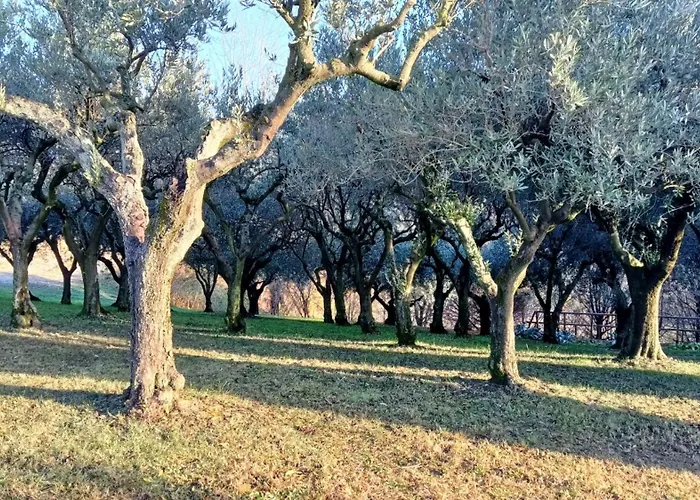 Il Giuggiolo
