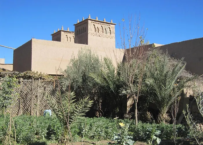 Gite Kasbah La Palmeraie