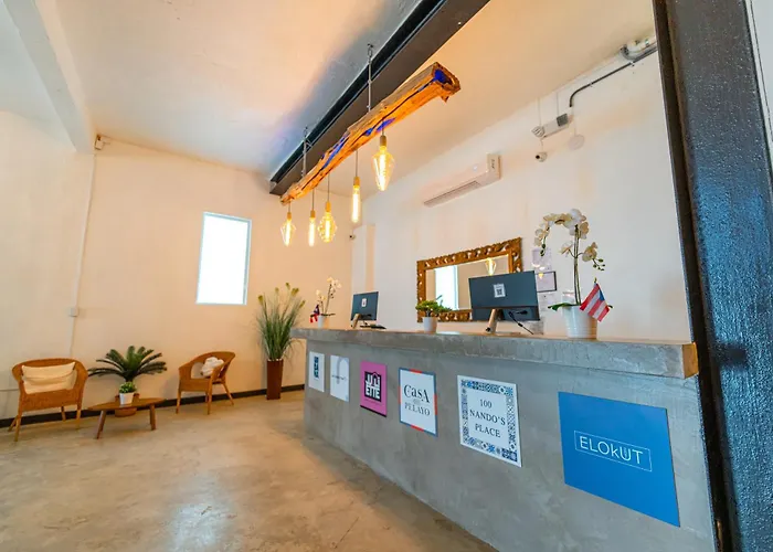 Dog friendly hotels Digital Nomad San Agustin s