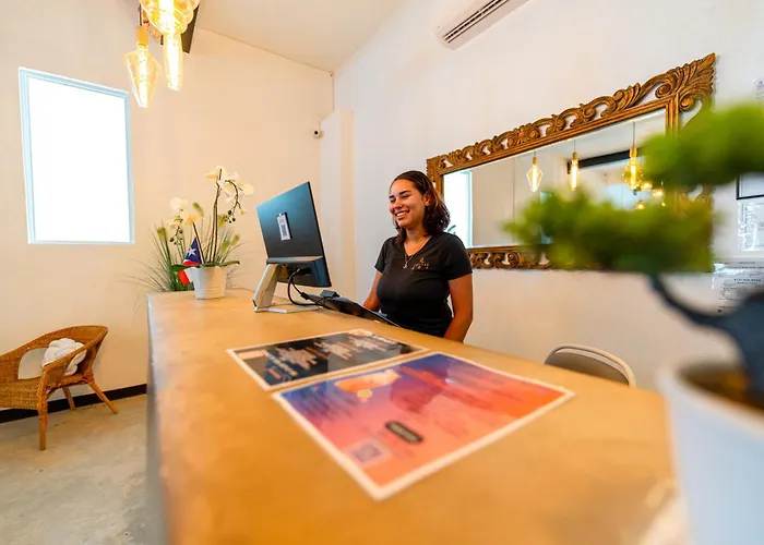 Dog friendly hotels Digital Nomad San Agustin s