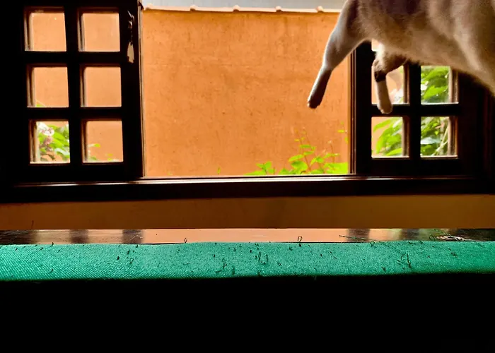  Guaru Surf Hostel