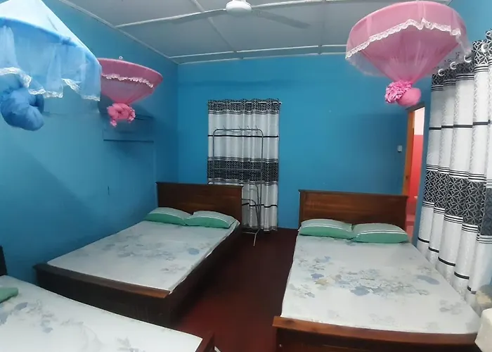 Amila Guest