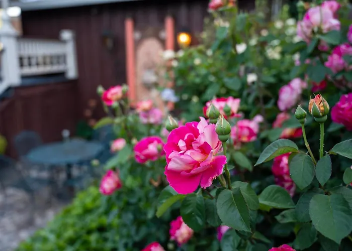 Motel: Gunn House Hotel