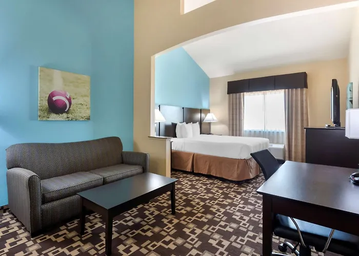 Best Western Plus Arlington North Hotel & Suites