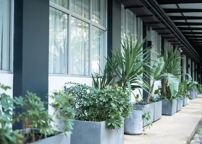 Pet Friendly hotel: Habyt Cantonment - Formerly Hmlet Cantonment