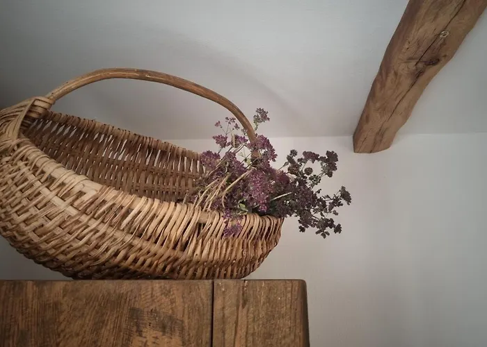 Butina Guesthouse