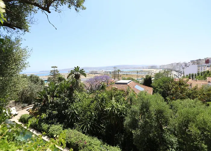 Animaux admis Mimi Calpe