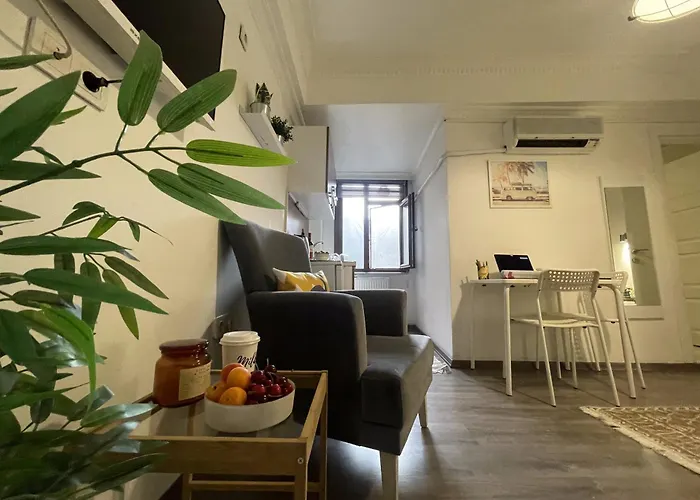 Pet Friendly hotel: Flats Company - Karakoy Apartment
