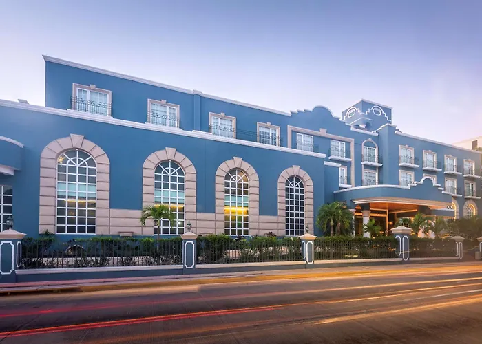 Mercedes Curio Collection By Hilton