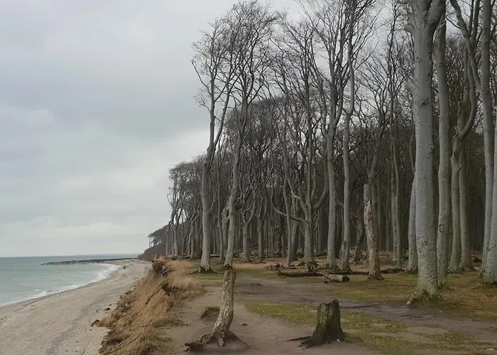 Am Gespensterwald