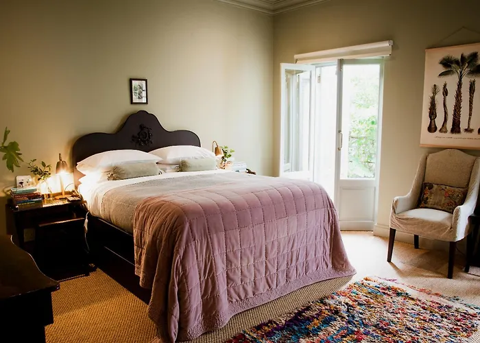 Pet Friendly hotel: Dorp Hotel