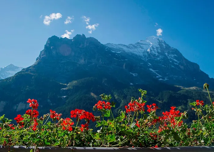 Hotel Bernerhof Grindelwald