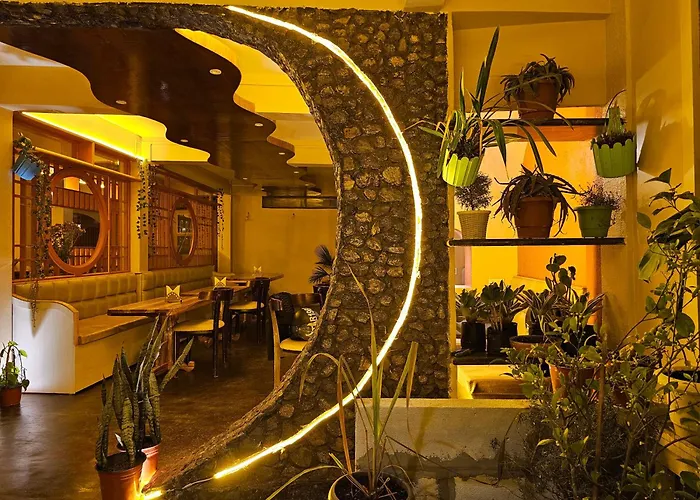Boutique hotels Golden Orchid