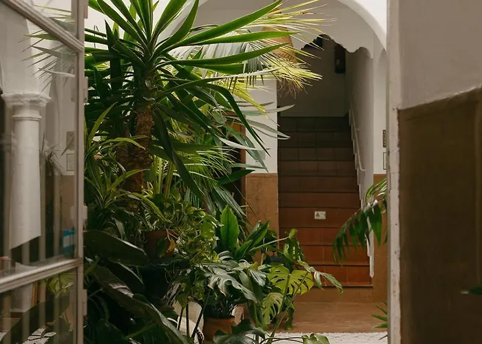 Hostal Africa
