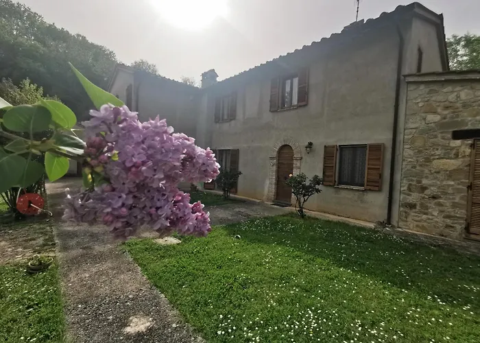 Il Piripicchio