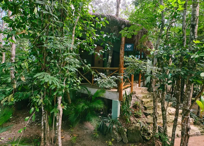 s Zamna - Jungle s