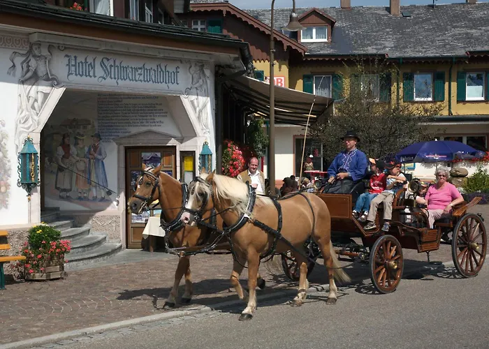 Familienhotel: Hotel Schwarzwaldhof