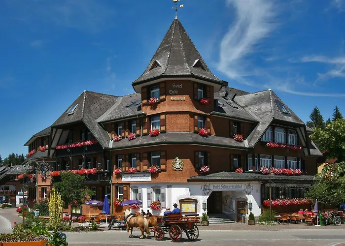 Familienhotel: Hotel Schwarzwaldhof
