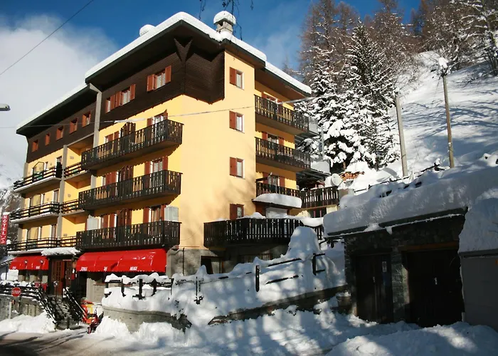  Etoile De Neige