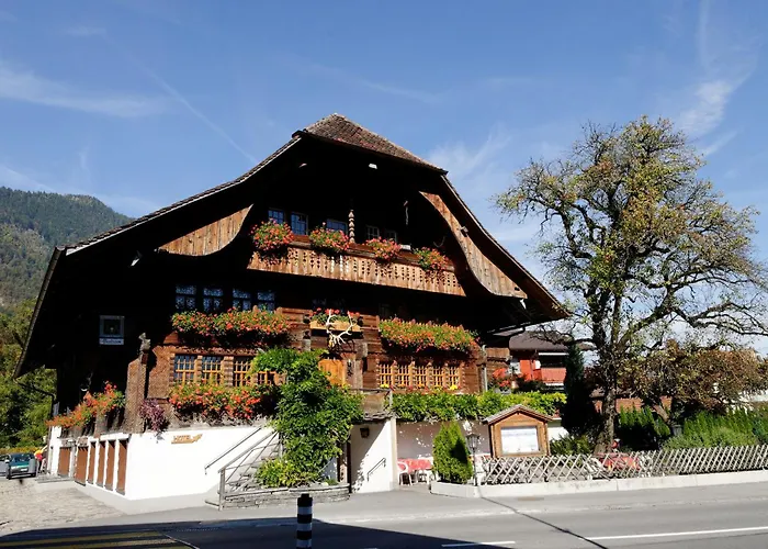 Hôtel accueillant les animaux: Hotel Restaurant Hirschen