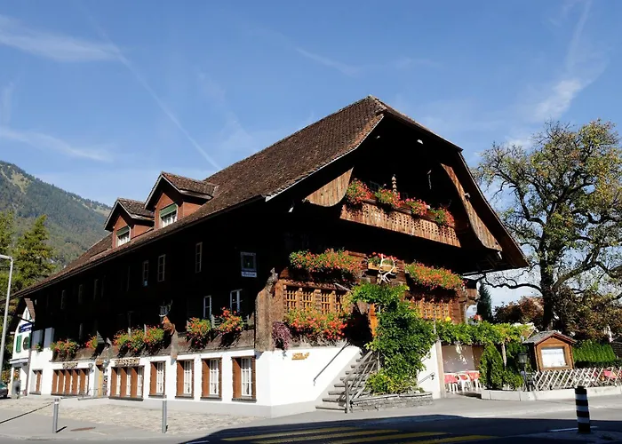 Hôtel accueillant les animaux: Hotel Restaurant Hirschen