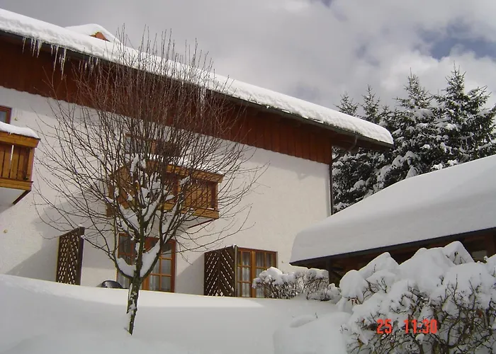 Ferien- Und Aktivhotel Zum Arber