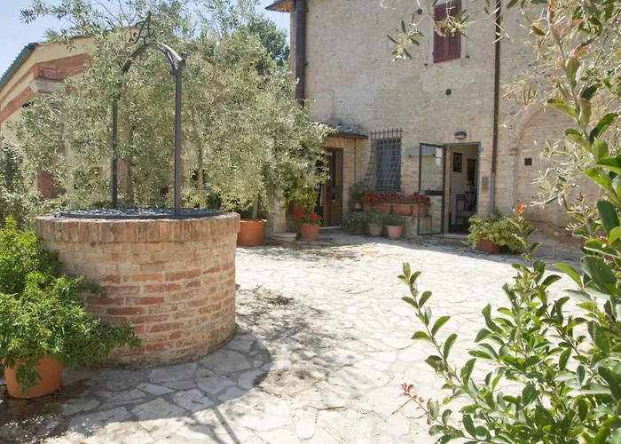  Il Pettirosso Di